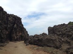 -龙坑生态保护区