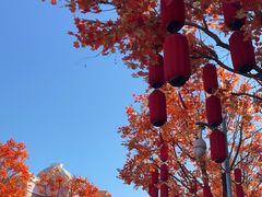 -沈阳方特欢乐世界