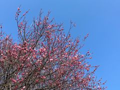 -南京市江宁方山
