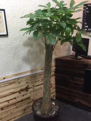 picture-镁连社·美联社