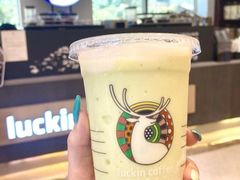 哈斯牛油果瑞纳冰-瑞幸咖啡(K酷·时尚广场店)