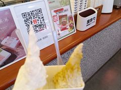 -野人先生Gelato(上海长宁龙之梦店)