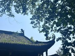 -青城山