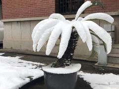 -南京钟山宾馆(江苏省会议中心)