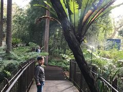 -墨尔本皇家植物园