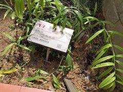 -广州神农草堂中医药博物馆