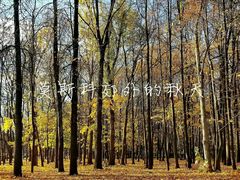 -莫斯科大学