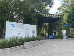 -华侨城湿地公园