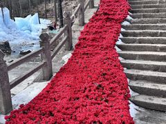 -洛阳白云山景区