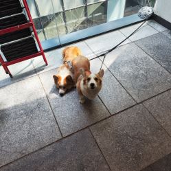 点击看大图 -5M HAIR SALON