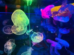 -太平洋海底世界