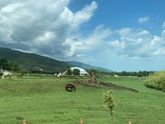 -新疆那拉提国家旅游度假区
