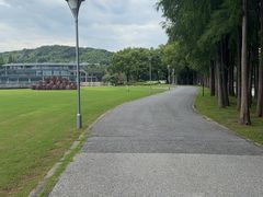 -上海月湖雕塑公园