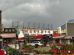 -中环花鸟鱼虫市场