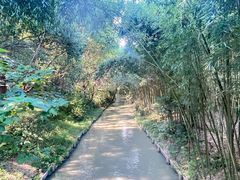 -同里国家湿地公园
