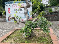 -中山詹园