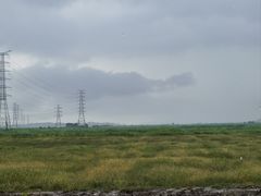 -崖口红树林海鲜餐厅
