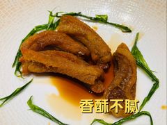 熏带鱼腩-新荣记(BFC外滩金融中心店)