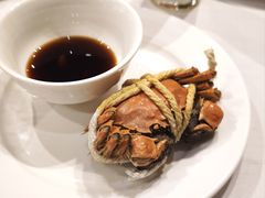 -武汉世茂希尔顿酒店·汇·全日餐厅