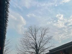 -国际非物质文化遗产博览园