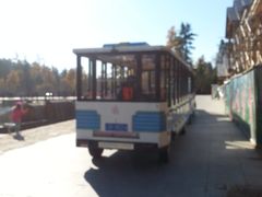 景点-五营红松林海景区