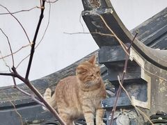 -兰汀酒店(三香路苏州市体育中心店)