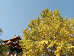 -河沿肉饼Beijing Pie(东华门店)