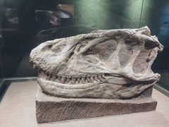 -自贡恐龙博物馆