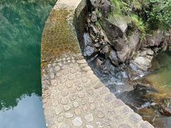 -大奇山国家森林公园