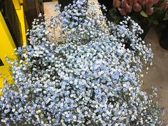 -那些花儿鲜花店(小寨店)