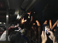 -清迈夜间动物园