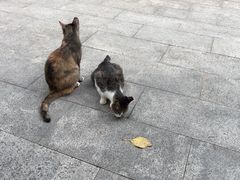 -晓港公园