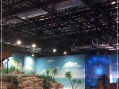 -华夏文旅海洋公园