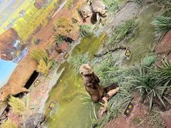 -陕西自然博物馆