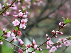 -常德桃花源景区