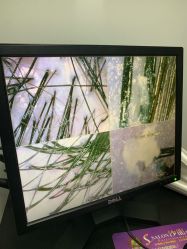 -章光101防脱养发荟