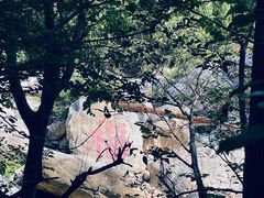 -禅宗少林·音乐大典