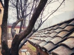 -抱龙峪