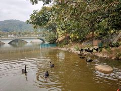 -中国移动南方基地