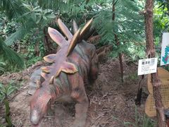 -呀路古热带植物园