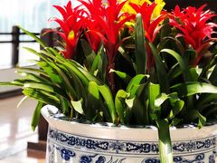 -亮马河饭店翠雅咖啡厅