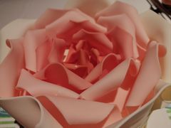 -八喜冰淇淋蛋糕(富国店)