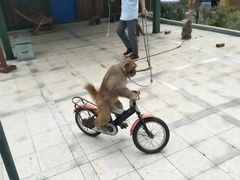 -南京金牛湖风景区