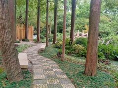 -上海醉白池公园