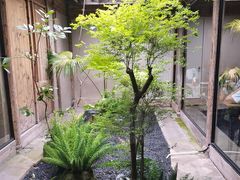 -院子餐厅·大锅菜·老杭帮(桥西直街店)