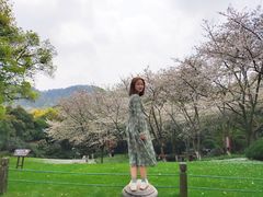 -中国茶叶博物馆(双峰馆区)
