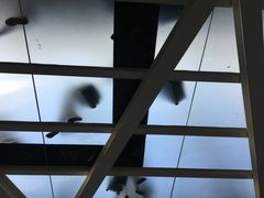 -卡塔尼亚-丰塔纳罗沙机场