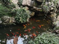 -上海市皮肤病医院(武夷路院区)