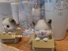 -星巴克(郑州普罗旺世店)