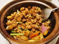 啫啫脆爽生肠-廣東顺德食府